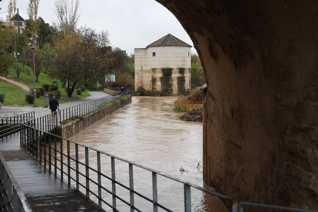 En imágenes, el Guadalquivir recupera el caudal a su paso por Córdoba