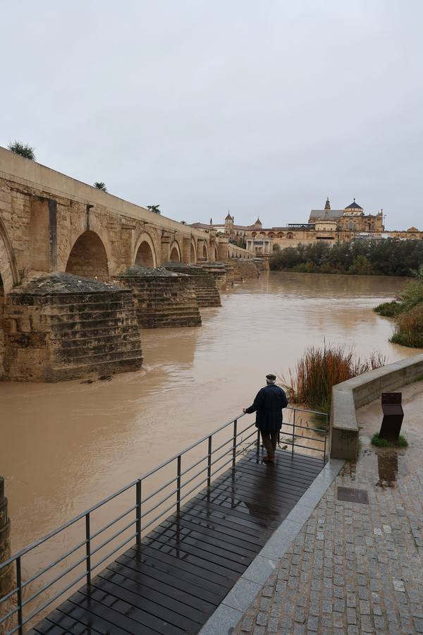 En imágenes, el Guadalquivir recupera el caudal a su paso por Córdoba