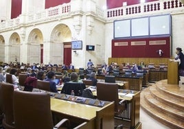 Por Andalucía y el PSOE, únicos partidos andaluces que apoyan la reforma de la malversación