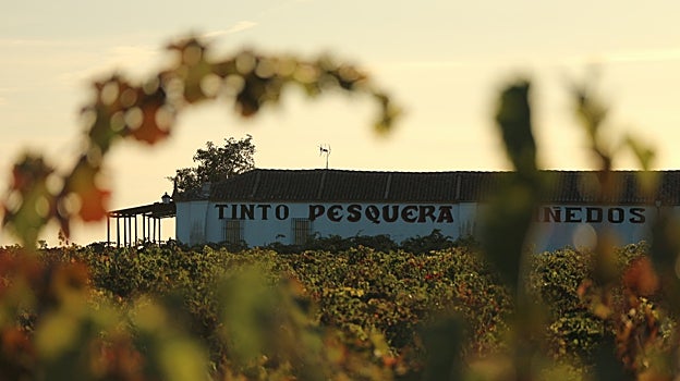 Bodegas Tinto Pesquera presenta sus nuevas añadas de sus vinos Crianza 2020 y Reserva 2019