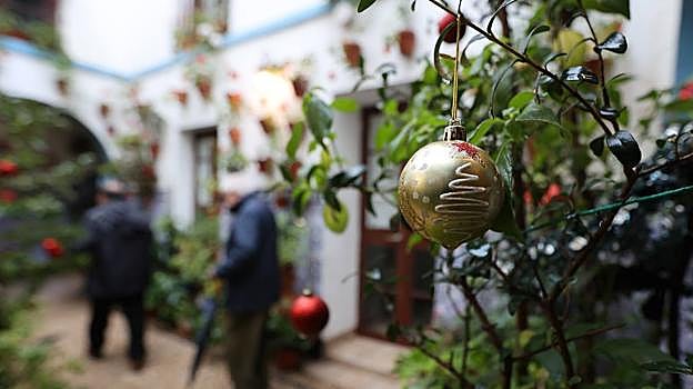 El concierto de Vicente Amigo y otros planes que no te puedes perder el fin de semana en Córdoba