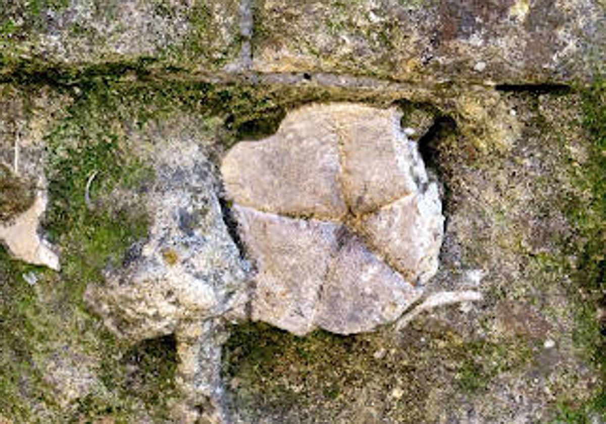 ¿Has tocado la Estrella de los Deseos de la Mezquita-Catedral de Córdoba?