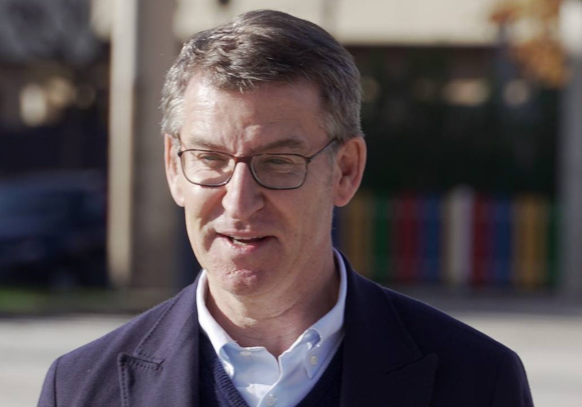 Alberto Núñez Feijóo, líder del PP