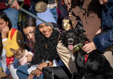 Pigmalión Aliado Emborracharse El desfile de perros abandonados de AUPA y Fundación Bioparc se vive con  emoción y finales felices