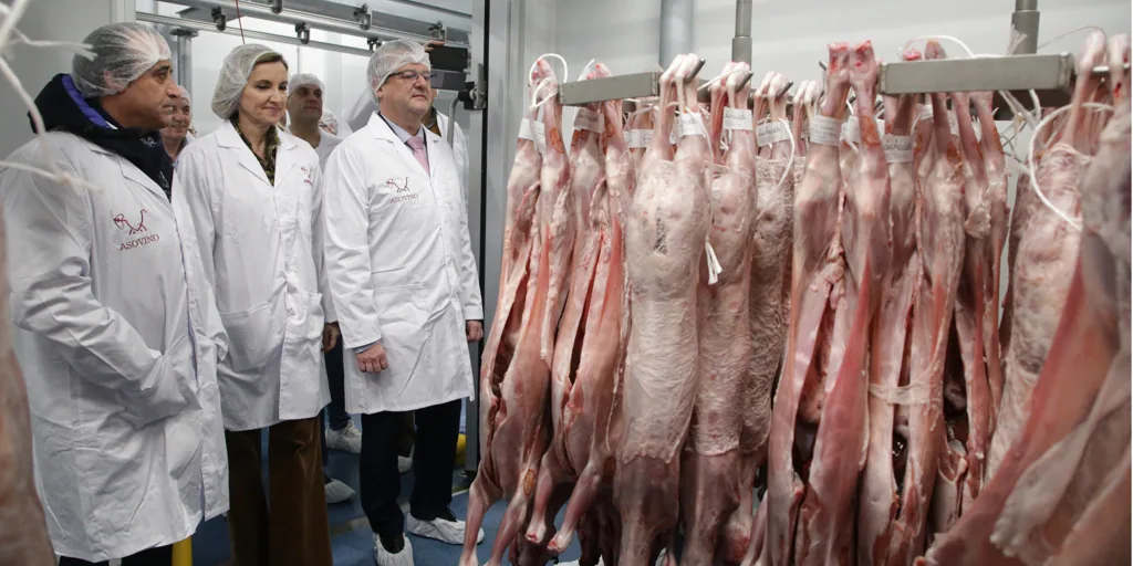 Il consiglio promuove il consumo di agnello di Castilla y León rispetto a Francia, Italia e Grecia.