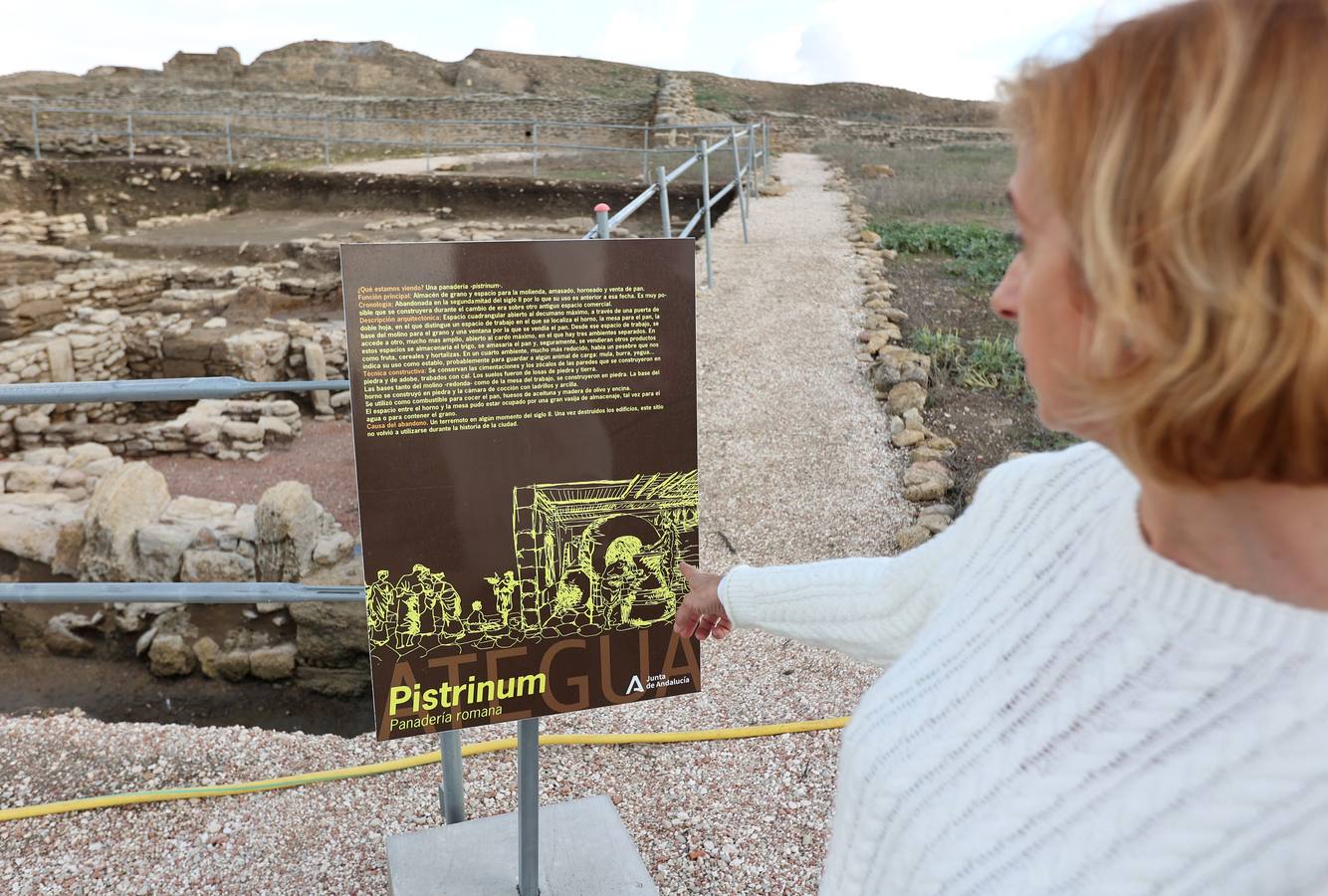 El creciente esplendor del yacimiento de Ategua, en imágenes