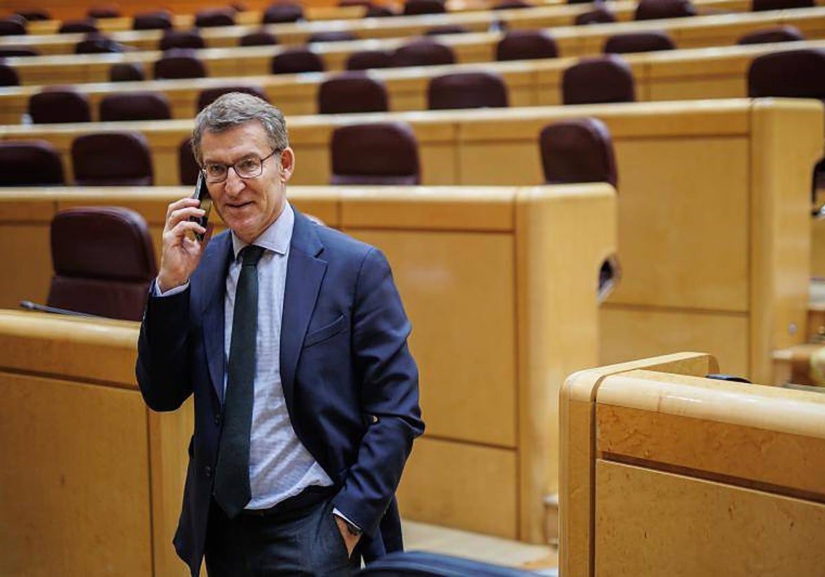 El presidente del PP, Alberto Núñez Feijóo, en el Senado
