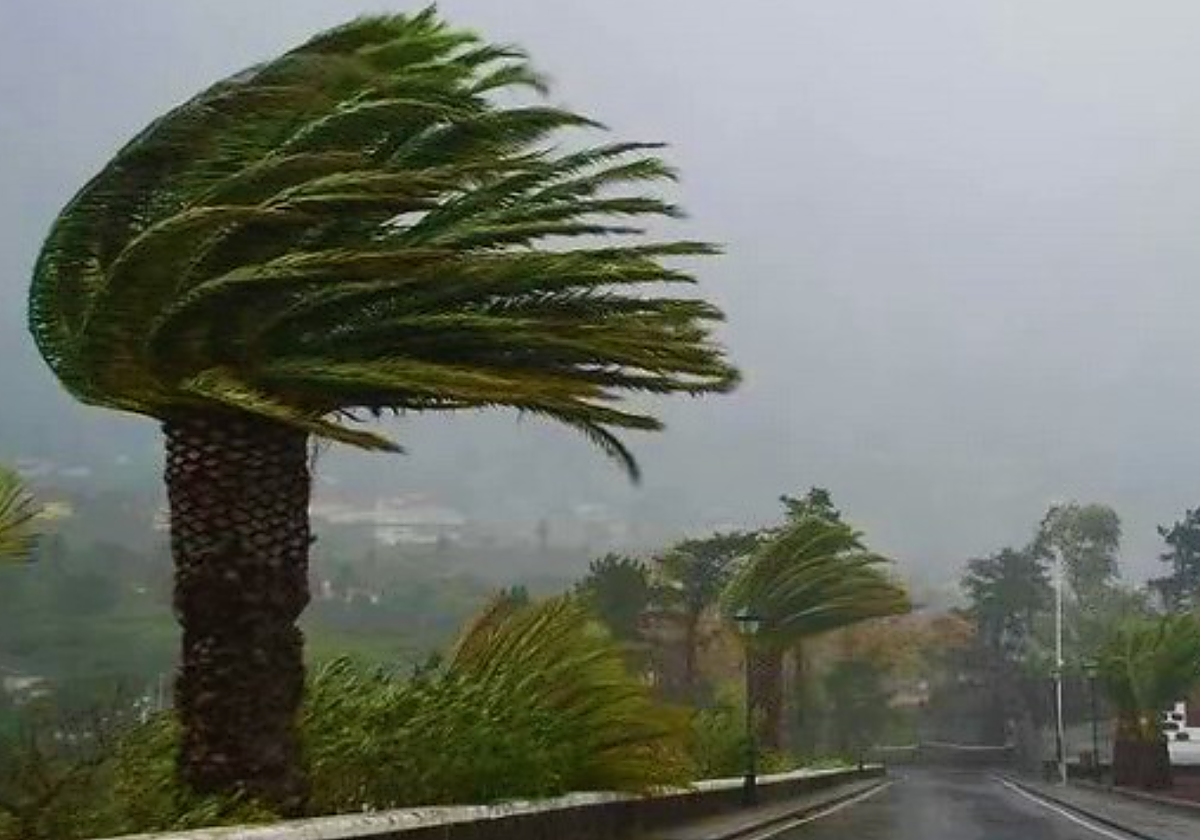 Viento en Canarias en foto de archivo