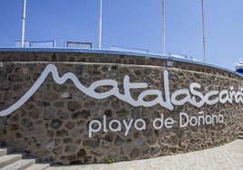 El Gobierno destina 6 millones de euros a la regeneración de la playa de Matalascañas