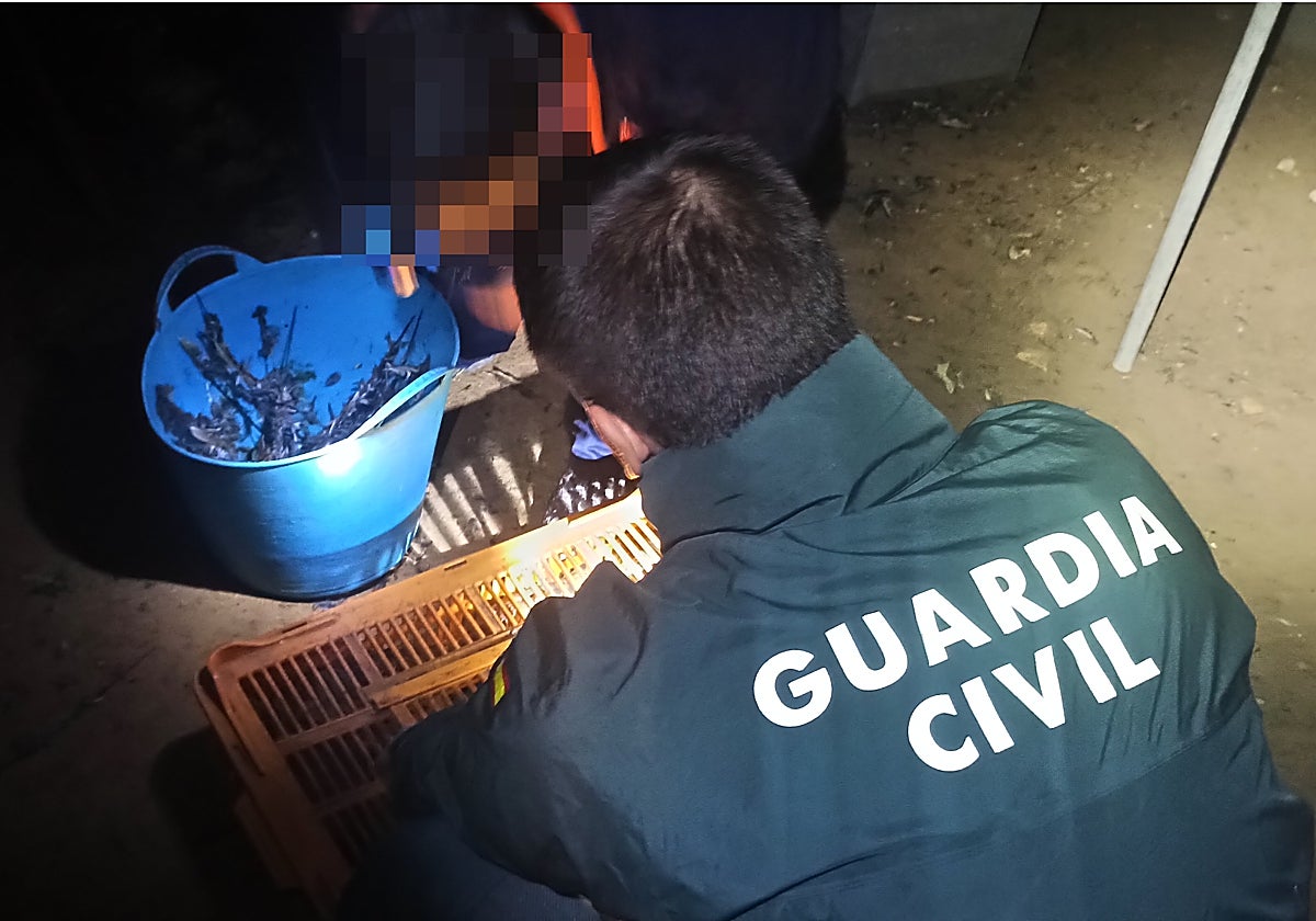 Material intervenido durante el rescate de animales por parte de la Guardia Civil.