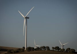 Revolución verde en Andalucía, que aspira a ser líder nacional en renovables para 2025