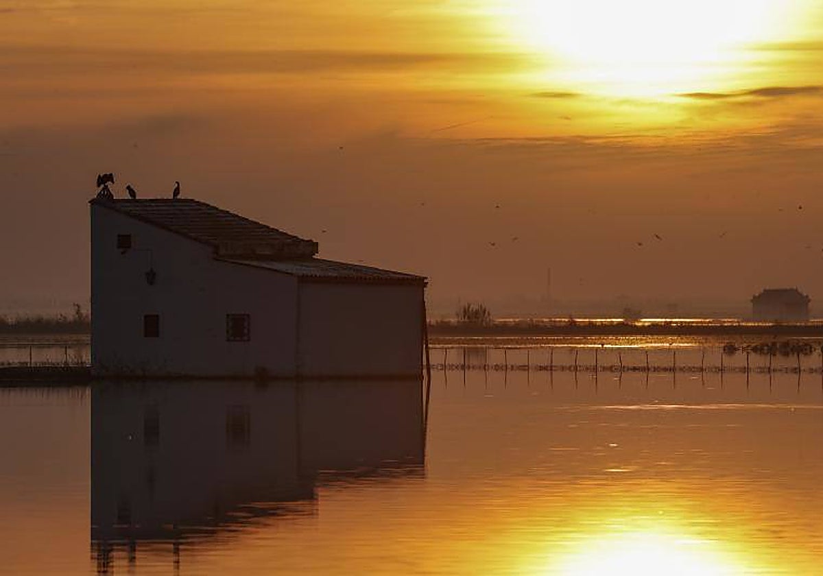 Imagen de recurso de un atardecer en l'Albufera de Valencia