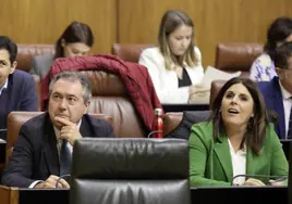 El PSOE andaluz obvia a los jueces e insiste en una «cacería política» del PP para que Griñán vaya a la cárcel