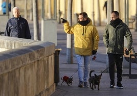 El tiempo en Córdoba | La capital vivirá un miércoles más frío, con las mínimas siguiendo su retroceso