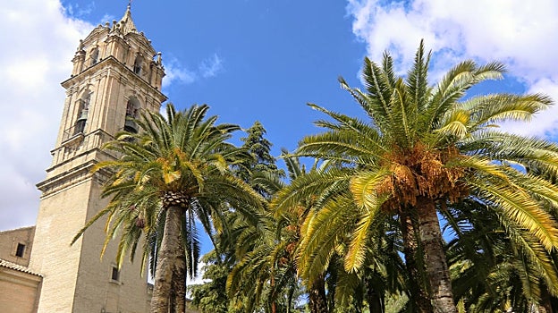 Iglesia de la Asunción de Cabra