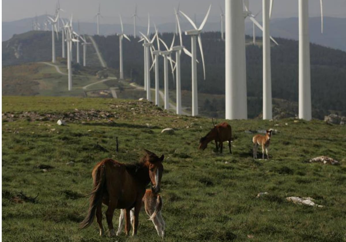 Los molinos de viento desatan la polémica en pueblos de Aragón