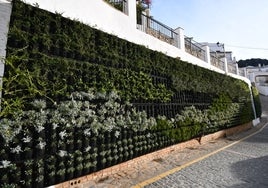 Alpandeire instala un jardín vertical junto a su iglesia