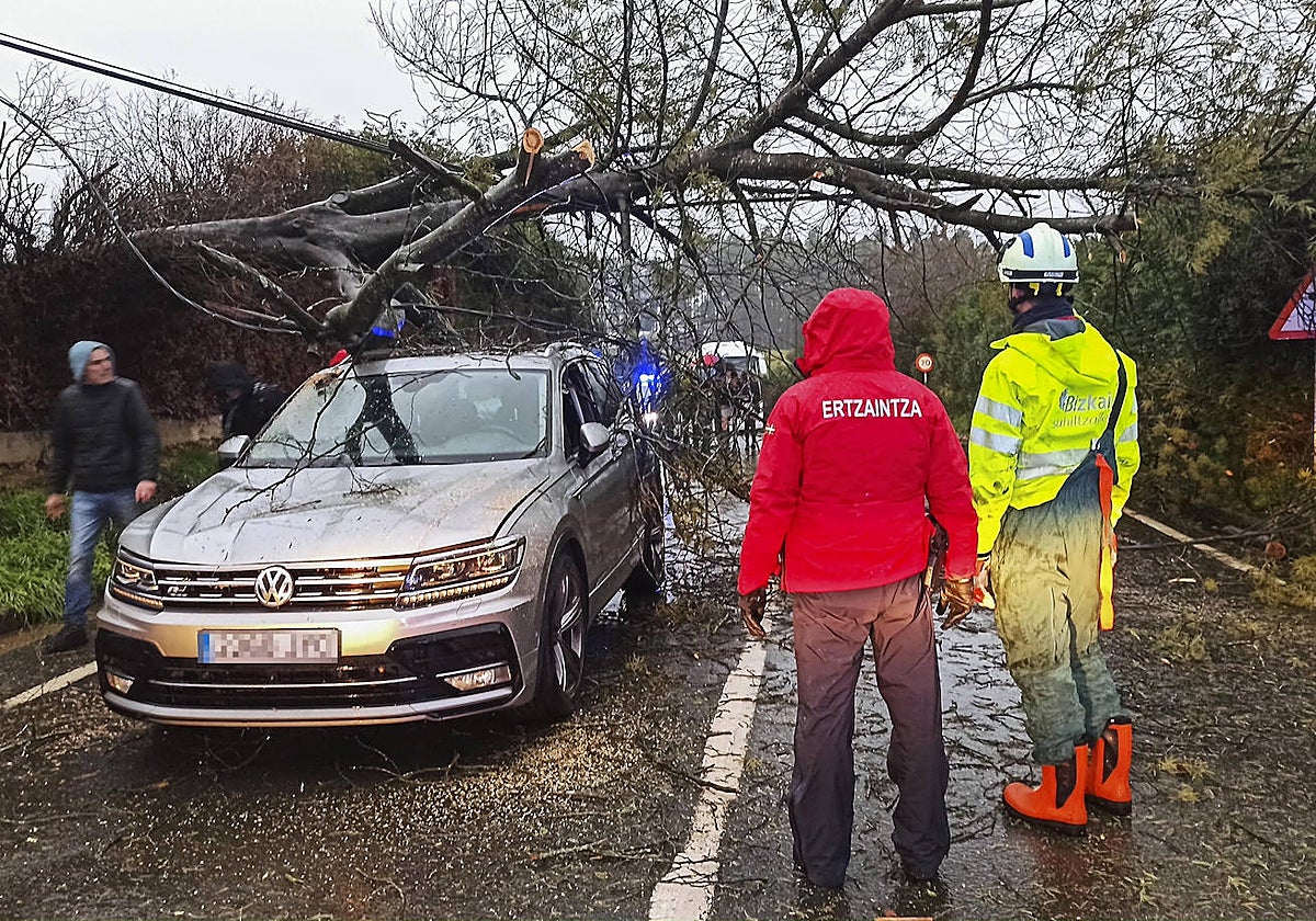 Los servicios de emergencia tratan de retirar esta mañana un árbol caído sobre un vehículo
