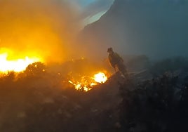 El Infoca lucha contra las llamas del primer incendio forestal del año en Almería