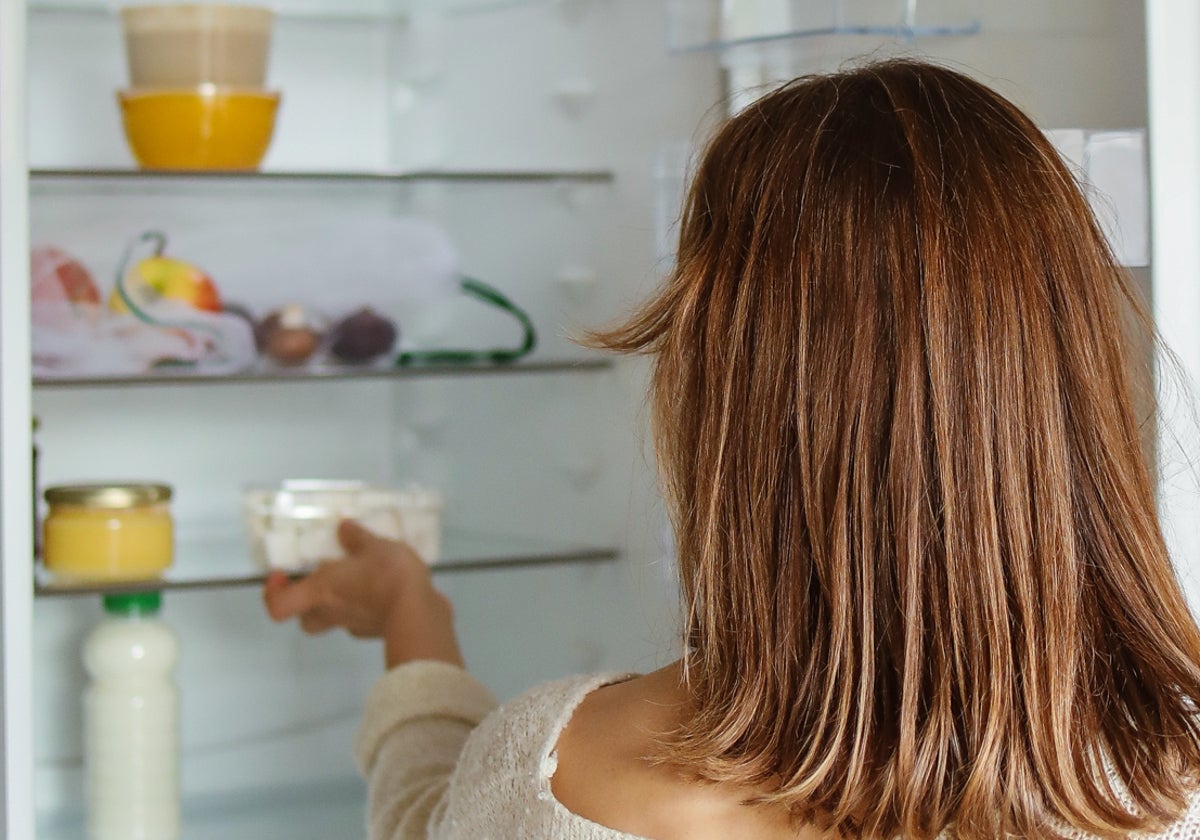 El frigorífico es un electrodoméstico de alto consumo que es poco evitable