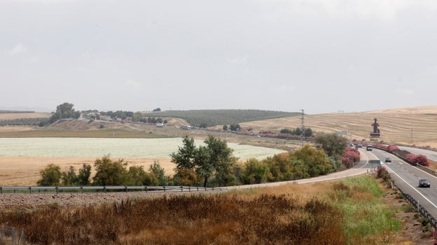 Terrenos de la Rinconada junto a la A-4