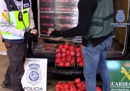 Fabricaban bolas de hachís para simular que eran tomates y transportar la droga desde Fuengirola a Francia