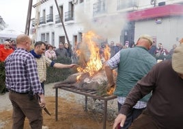 Las delicias del cerdo ibérico reúnen a cientos de personas en la Fiesta de la Matanza de Alcaracejos