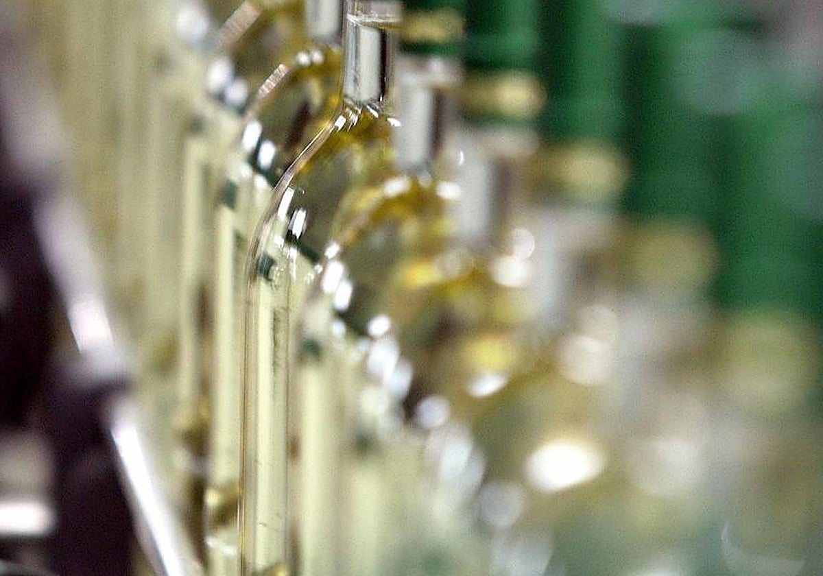 Bodega de la denominación de origen Rueda, en una imagen de archivo