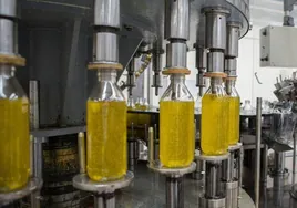 Científicos de Granada demuestran los beneficios del aceite de oliva administrado directamente en sangre