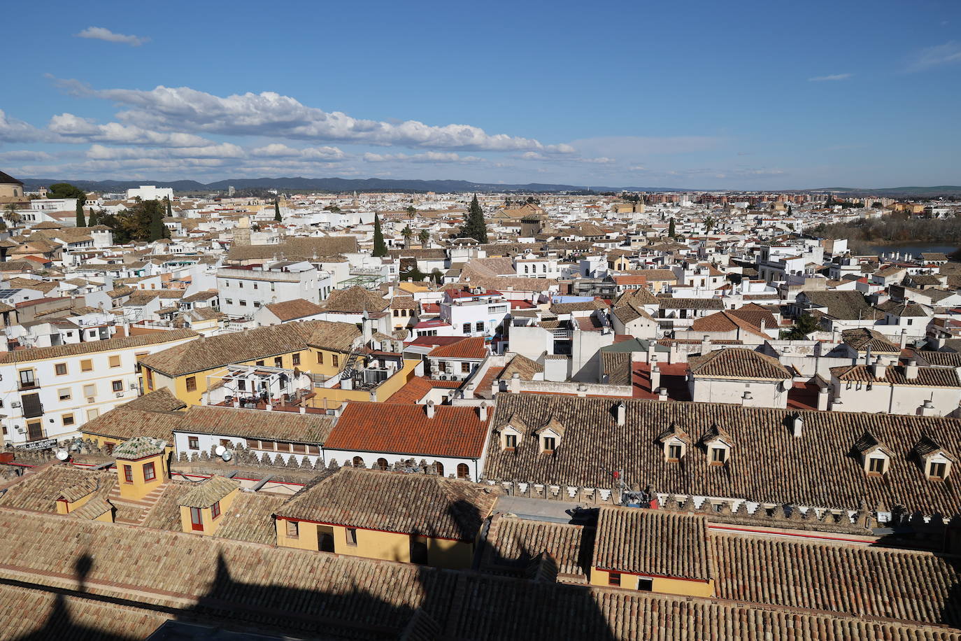 Las cubiertas de la Mezquita-Catedral de Córdoba, el otro &#039;tesoro&#039; de un bien Patrimonio de la Humanidad, en imágenes