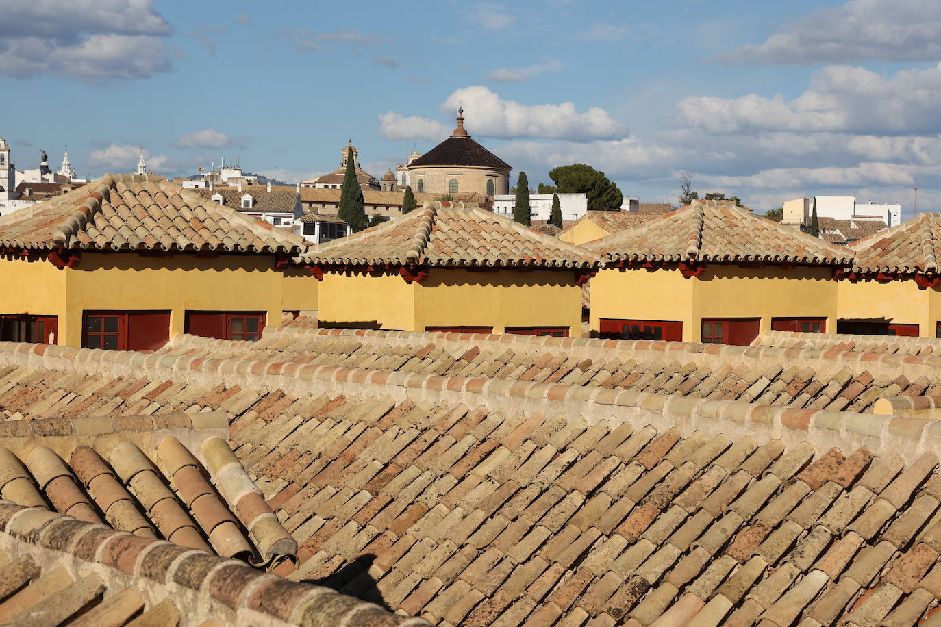 Las cubiertas de la Mezquita-Catedral de Córdoba, el otro &#039;tesoro&#039; de un bien Patrimonio de la Humanidad, en imágenes