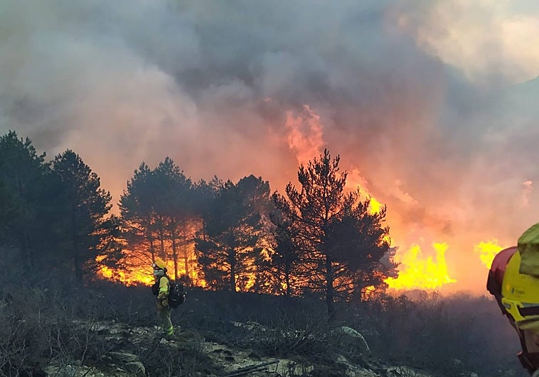 El incendio de Guisando (Ávila), en plena ola de frío, calcina en torno a 100 hectáreas, la mitad superficie arbolada