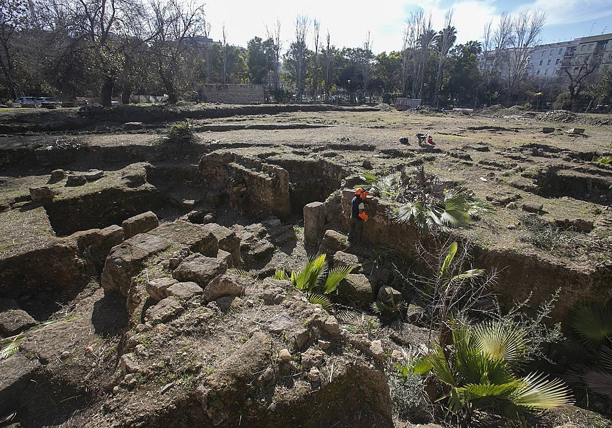 Trabajos de limpieza en el anfiteatro romano de Córdoba