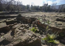 La Universidad de Córdoba limpia de vegetación el anfiteatro romano del Rectorado