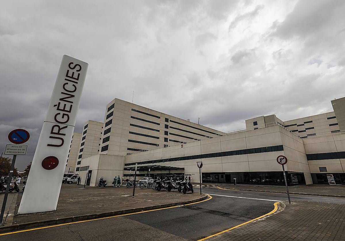 Imagen tomada en los exteriores del Hospital La Fe de Valencia