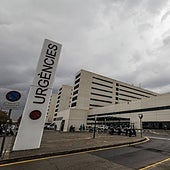 «La exclusión del español de la Sanidad no se puede tolerar»: denuncian que la Generalitat Valenciana no respeta la cooficialidad lingüística