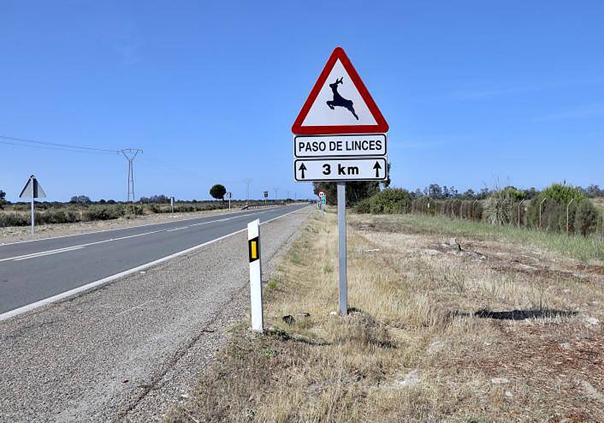 Imagen de una de las carreteras del Parque de Doñana