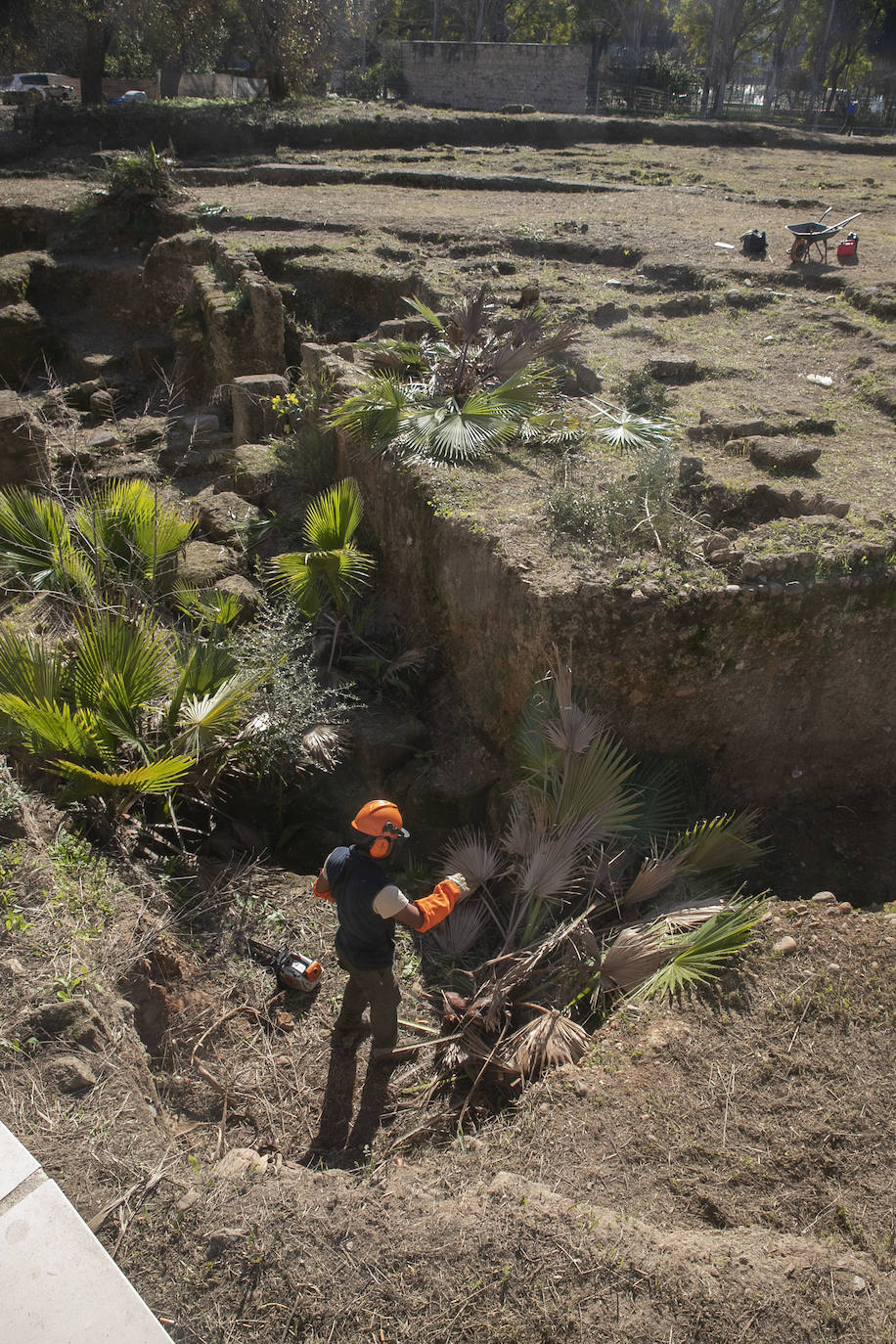 La limpieza del anfiteatro romano de Córdoba, en imágenes