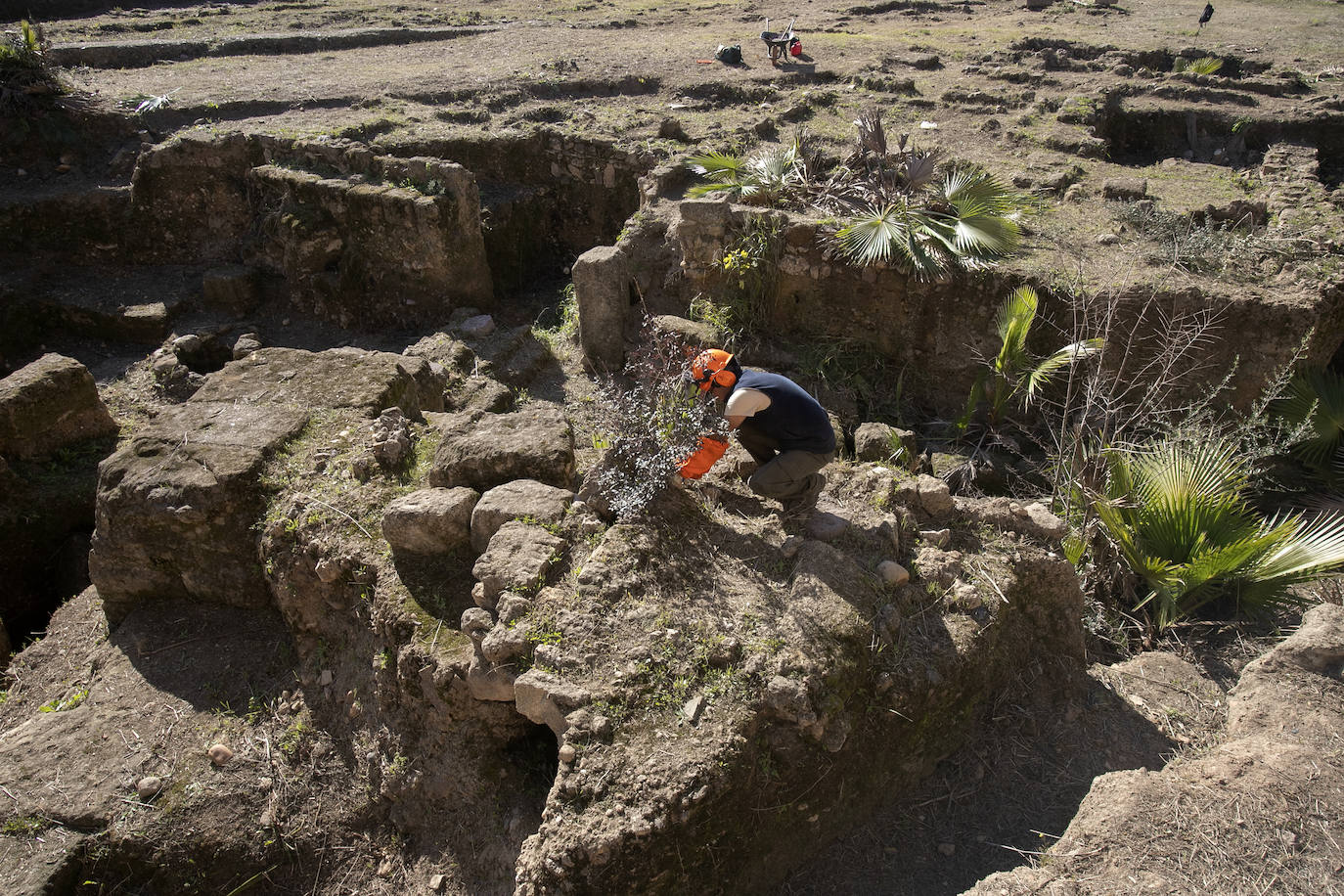 La limpieza del anfiteatro romano de Córdoba, en imágenes