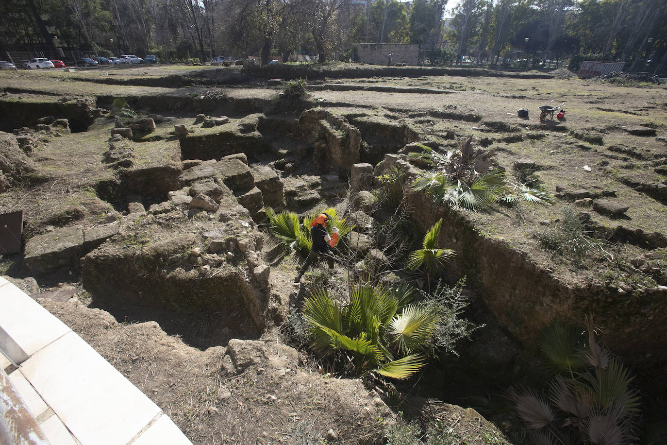 La limpieza del anfiteatro romano de Córdoba, en imágenes