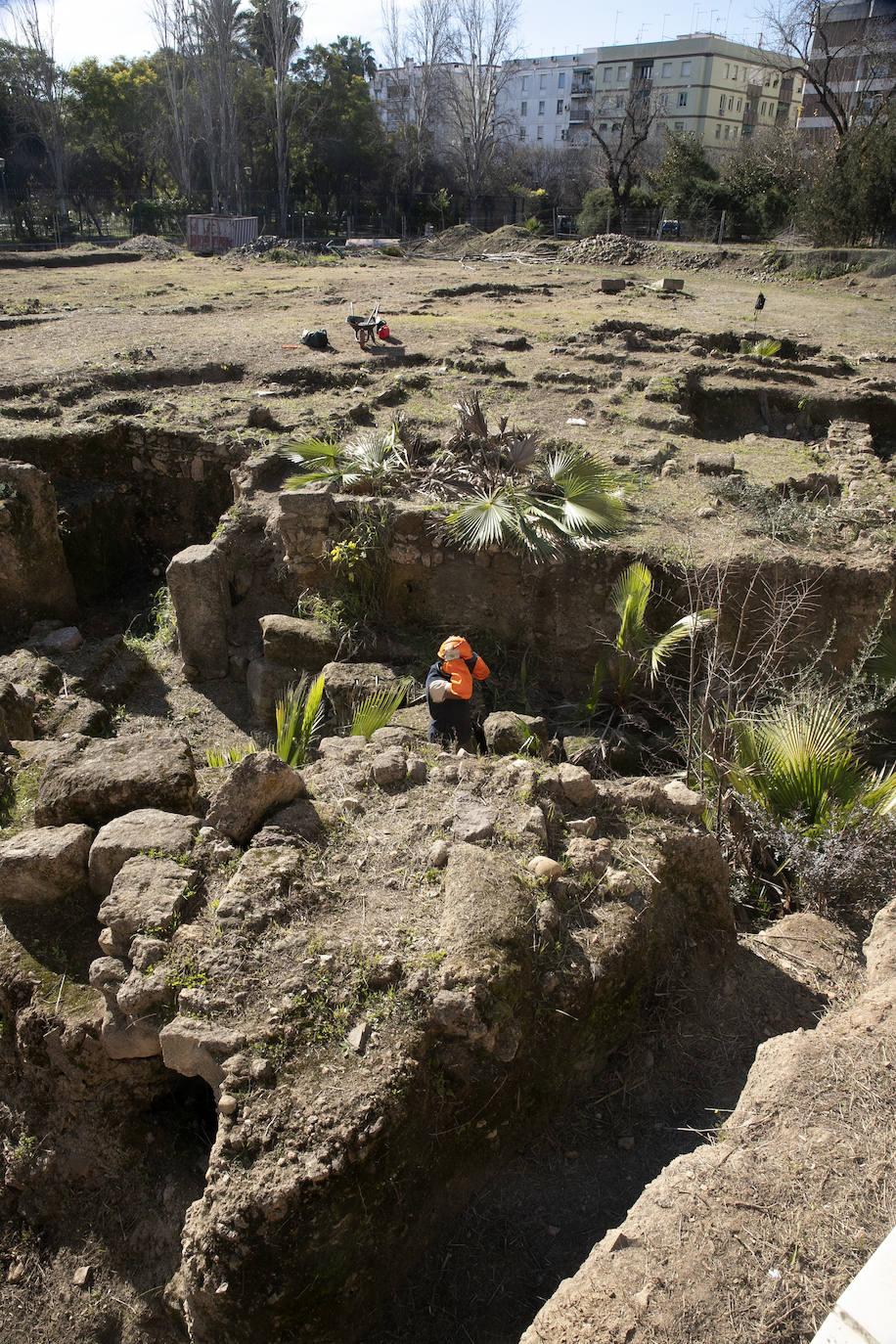 La limpieza del anfiteatro romano de Córdoba, en imágenes