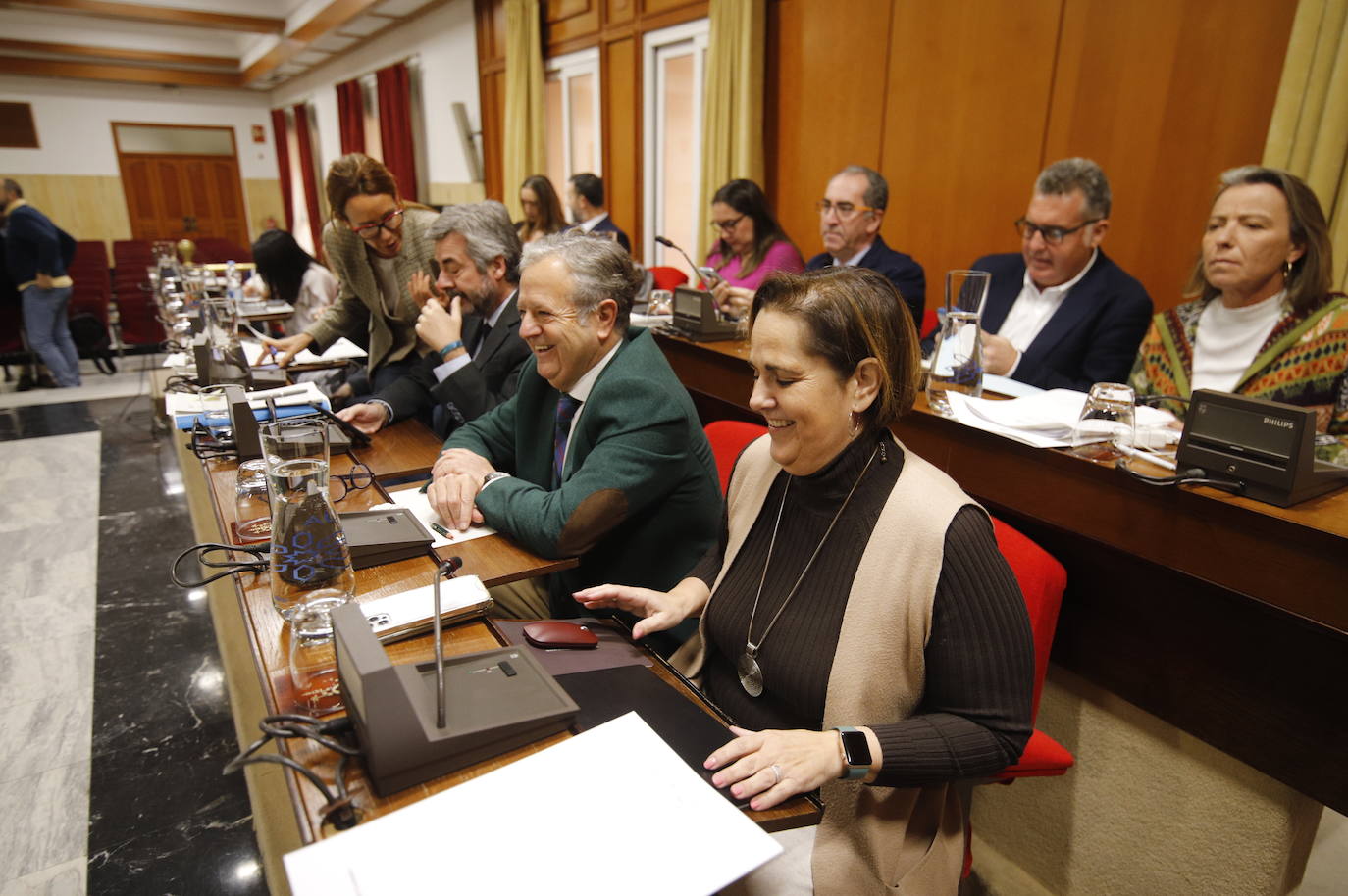 El pleno del Ayuntamiento de Córdoba, en imágenes