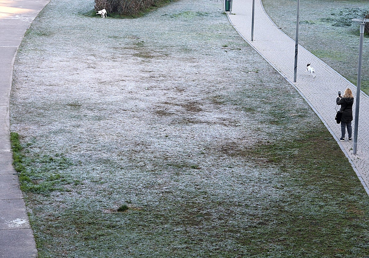 Una mujer pasea a su perro junto al río, esta semana