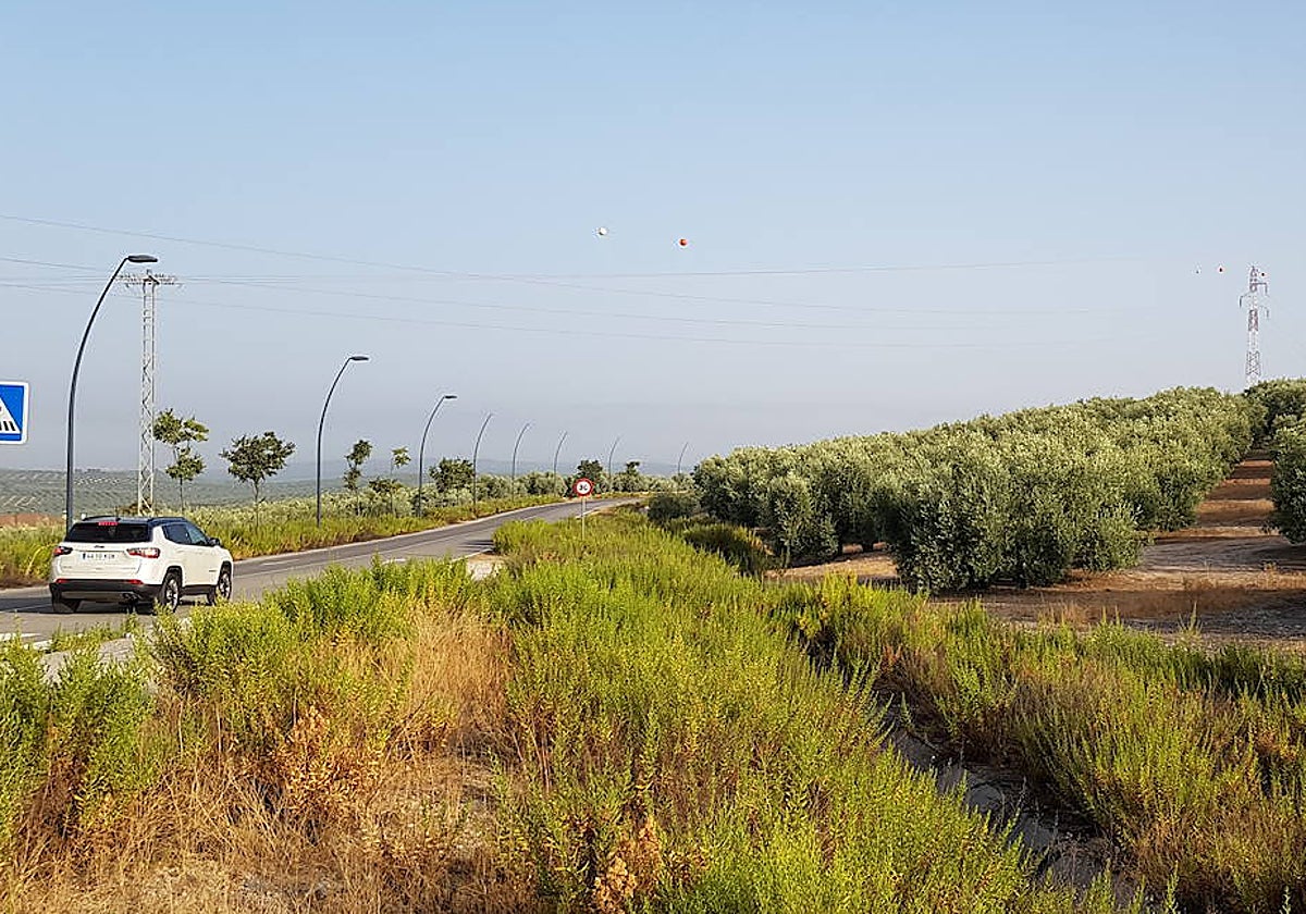Tendido eléctrico sobre los terrenos en que se hará el hospital