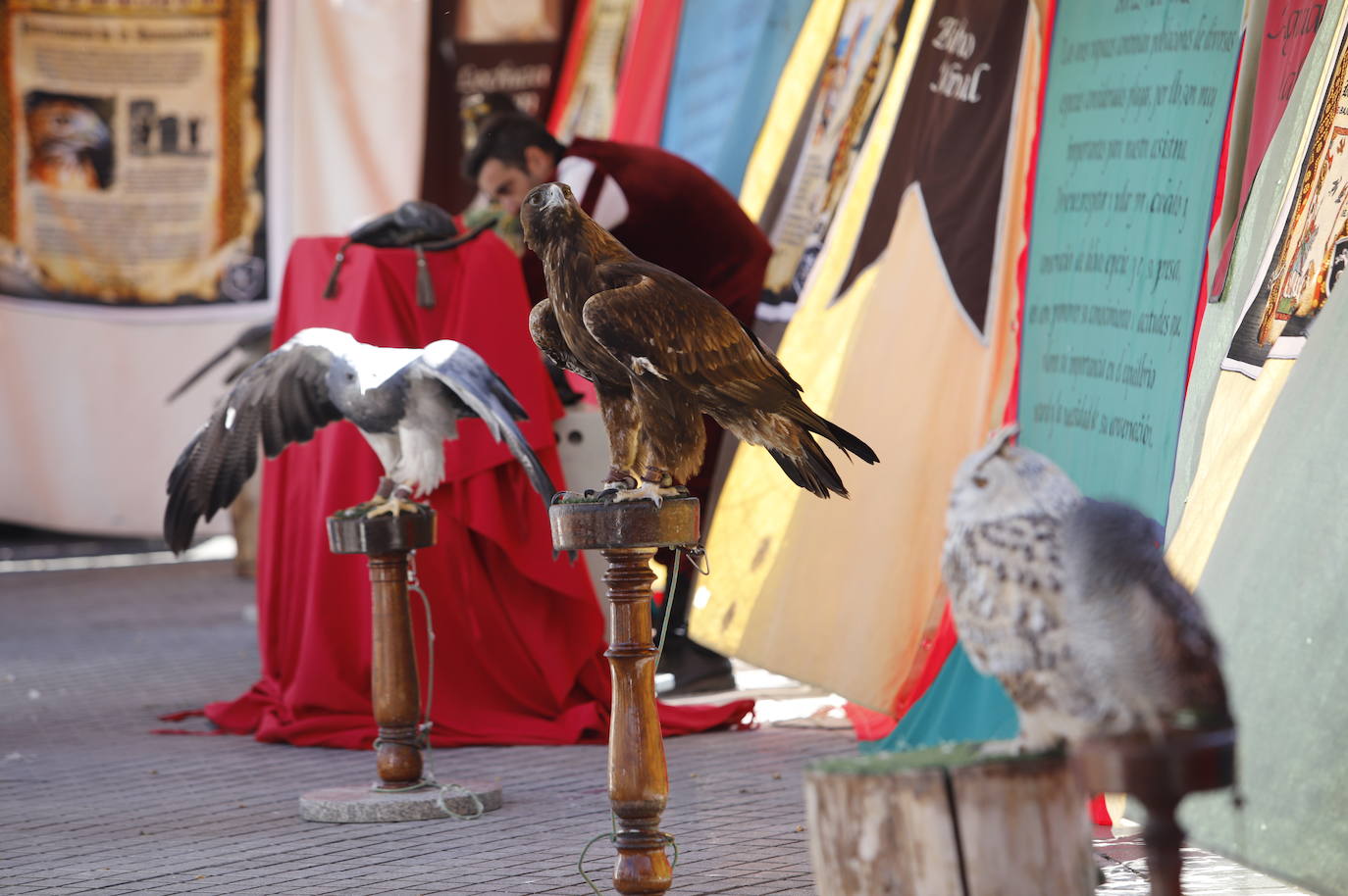La inauguración del espectacular Mercado Renacentista de Córdoba, en imágenes