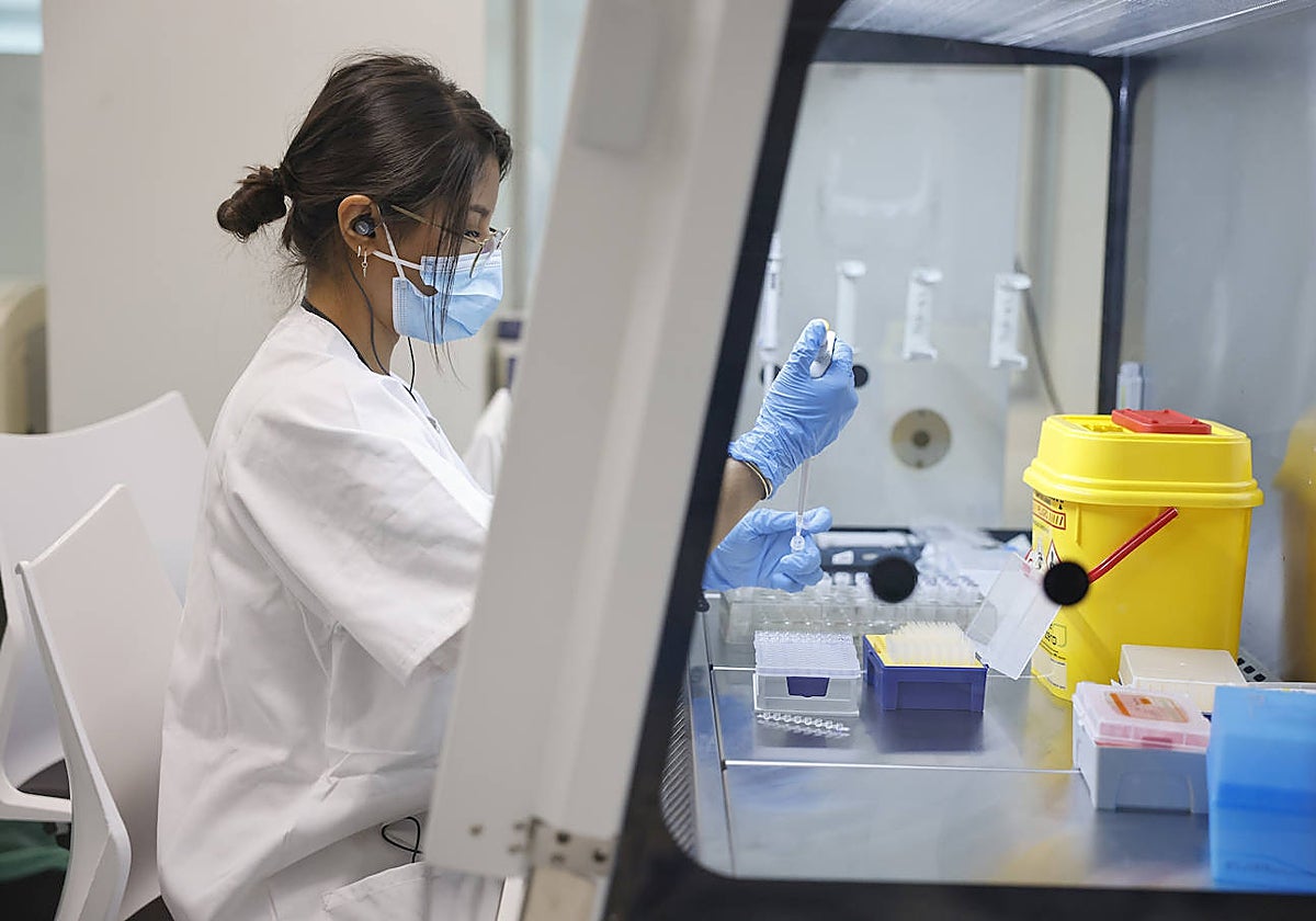 Una sanitaria, en el laboratorio de cribado neonatal del Gregorio Marañón