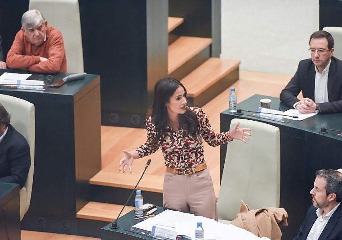 La vicealcaldesa de Madrid, Begoña Villacís, este martes, durante una intervención en el pleno de Cibeles