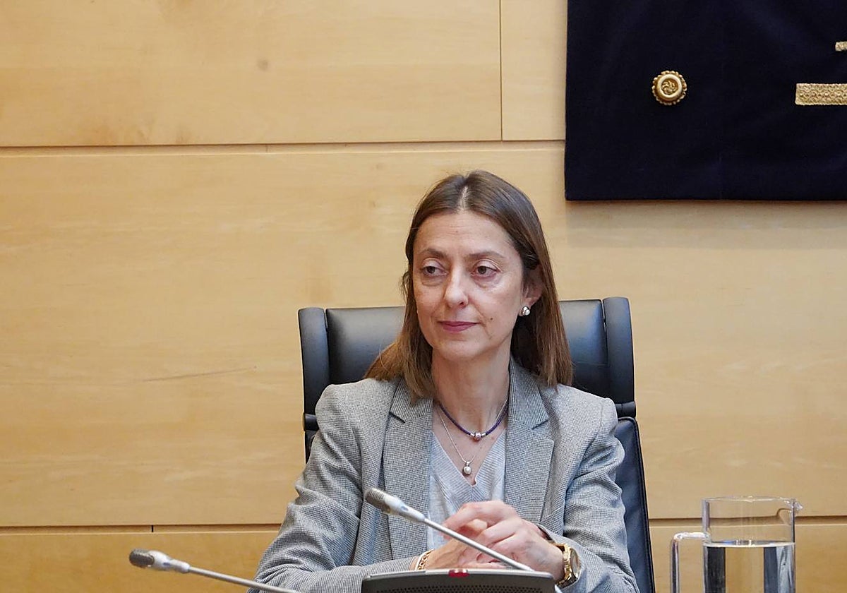 Comparecencia de la directora general de Familias, Infancia y Atención a la Diversidad y comisionada regional para la Droga para informar a la Comisión sobre las medidas llevadas a cabo por la Consejería de Familia