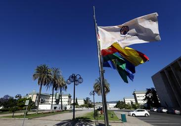 La Universidad de Córdoba adjudica la primera parte de la reurbanización del Campus de Rabanales