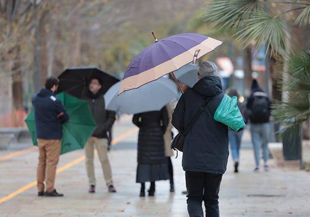 La lluvia ha sido la protagonista de la semana en Málaga